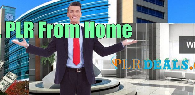 Make money with the Power of Resell Rights PLR Digital Products