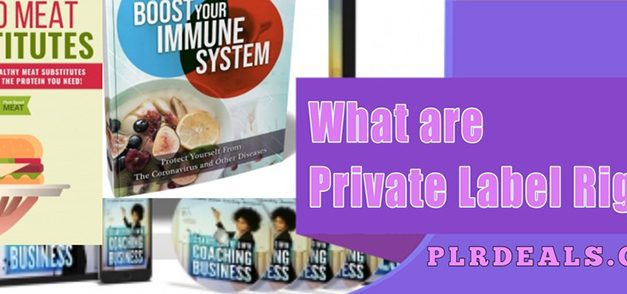 What is Private Label Rights (PLR)?