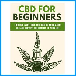 CBD-for-Beginners PLR