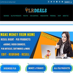 readymade PLR website